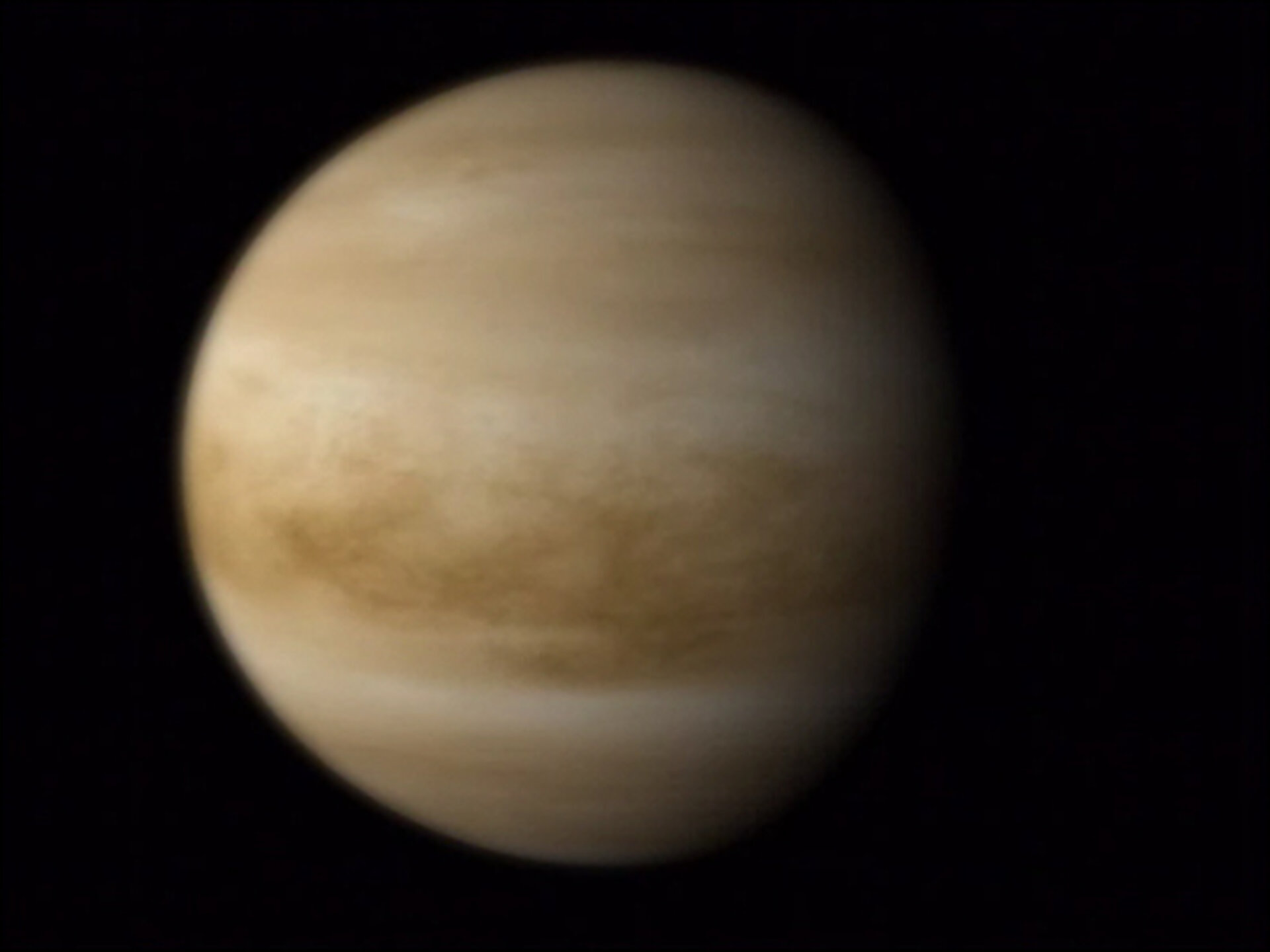 Profile Picture of Venus